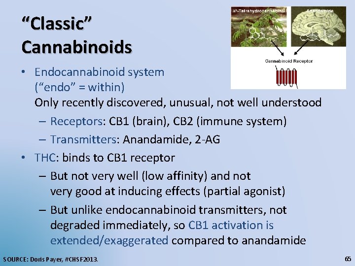 “Classic” Cannabinoids • Endocannabinoid system (“endo” = within) Only recently discovered, unusual, not well