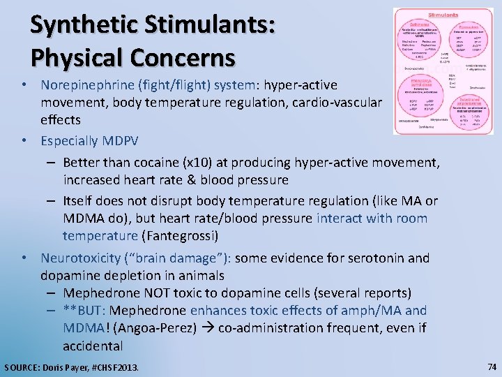 Synthetic Stimulants: Physical Concerns • Norepinephrine (fight/flight) system: hyper-active movement, body temperature regulation, cardio-vascular