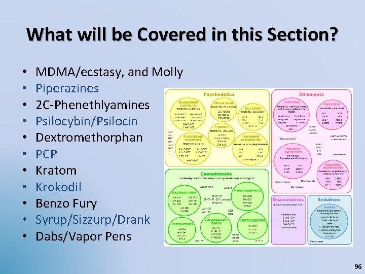 What will be Covered in this Section? • • • MDMA/ecstasy, and Molly Piperazines