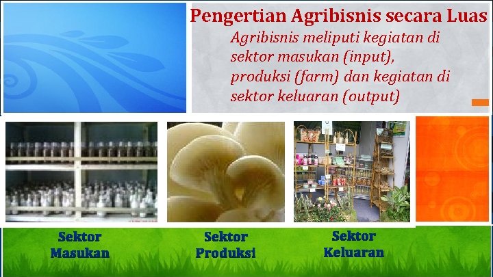 Pengertian Agribisnis secara Luas Agribisnis meliputi kegiatan di sektor masukan (input), produksi (farm) dan