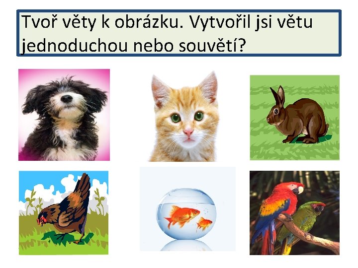 Tvoř věty k obrázku. Vytvořil jsi větu jednoduchou nebo souvětí? 