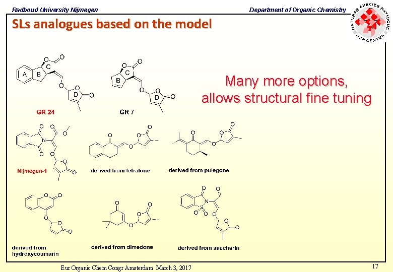 Radboud University Nijmegen Department of Organic Chemistry SLs analogues based on the model Many Radboud University Nijmegen Department of Organic Chemistry SLs analogues based on the model Many