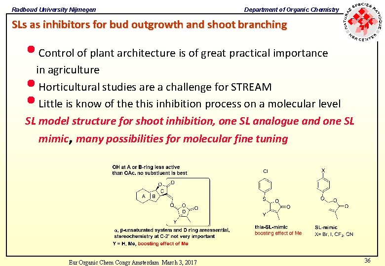 Radboud University Nijmegen Department of Organic Chemistry SLs as inhibitors for bud outgrowth and Radboud University Nijmegen Department of Organic Chemistry SLs as inhibitors for bud outgrowth and