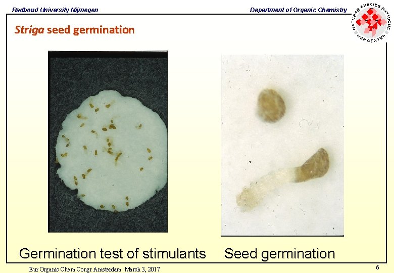 Radboud University Nijmegen Department of Organic Chemistry Striga seed germination Germination test of stimulants Radboud University Nijmegen Department of Organic Chemistry Striga seed germination Germination test of stimulants