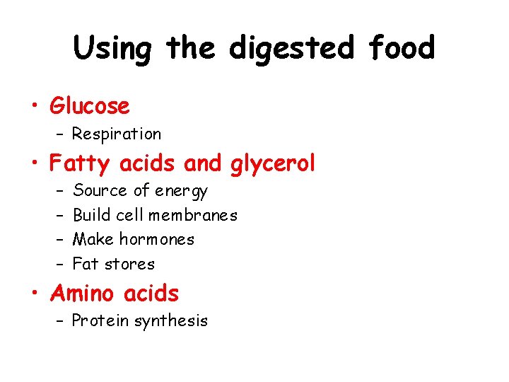 Using the digested food • Glucose – Respiration • Fatty acids and glycerol –