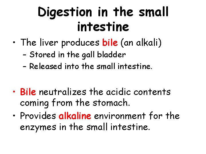 Digestion in the small intestine • The liver produces bile (an alkali) – Stored