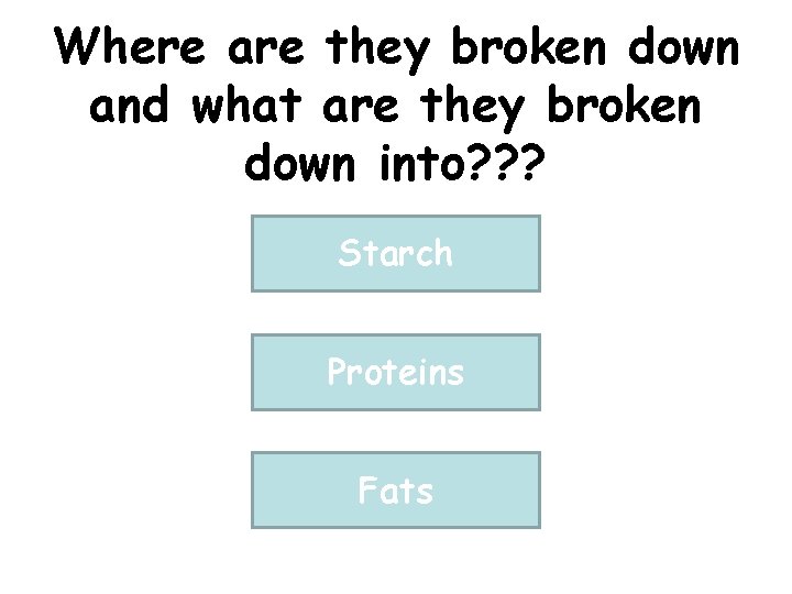 Where are they broken down and what are they broken down into? ? ?