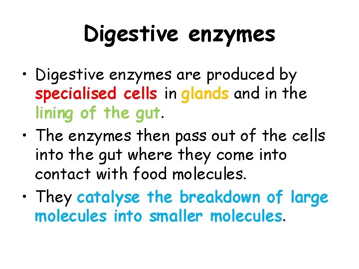 Digestive enzymes • Digestive enzymes are produced by specialised cells in glands and in