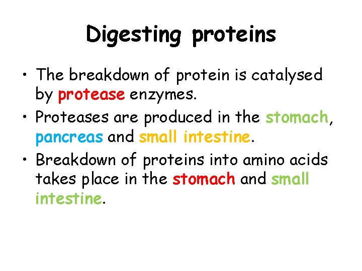 Digesting proteins • The breakdown of protein is catalysed by protease enzymes. • Proteases