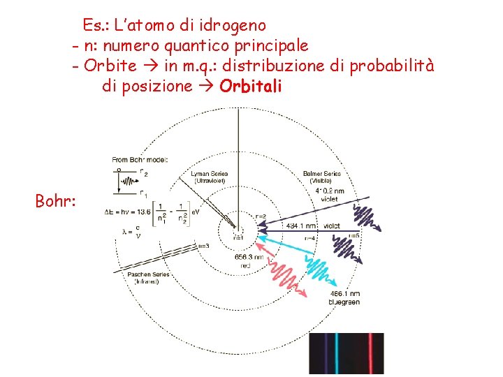 Es. : L’atomo di idrogeno - n: numero quantico principale - Orbite in m.