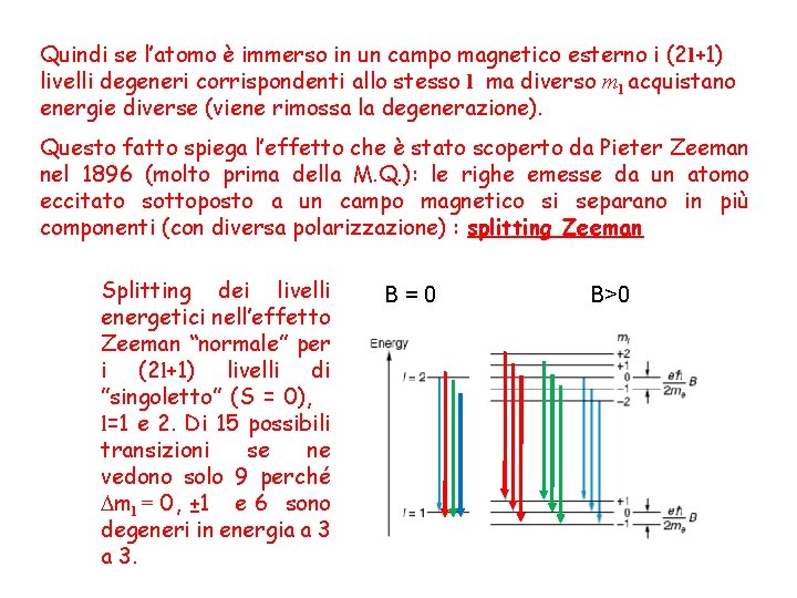 Quindi se l’atomo è immerso in un campo magnetico esterno i (2 l+1) livelli