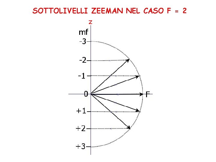 SOTTOLIVELLI ZEEMAN NEL CASO F = 2 z 