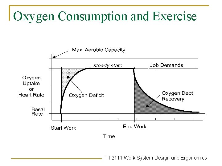 Oxygen Consumption and Exercise TI 2111 Work System Design and Ergonomics 