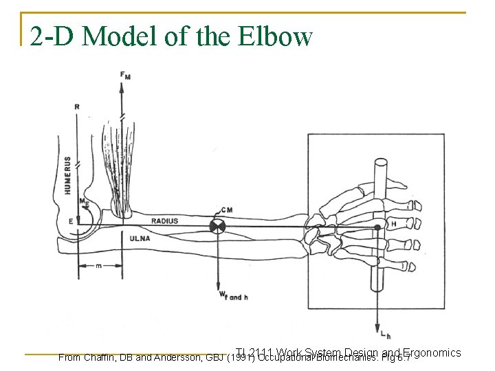 2 -D Model of the Elbow TI 2111 Work System Design Fig and 6.