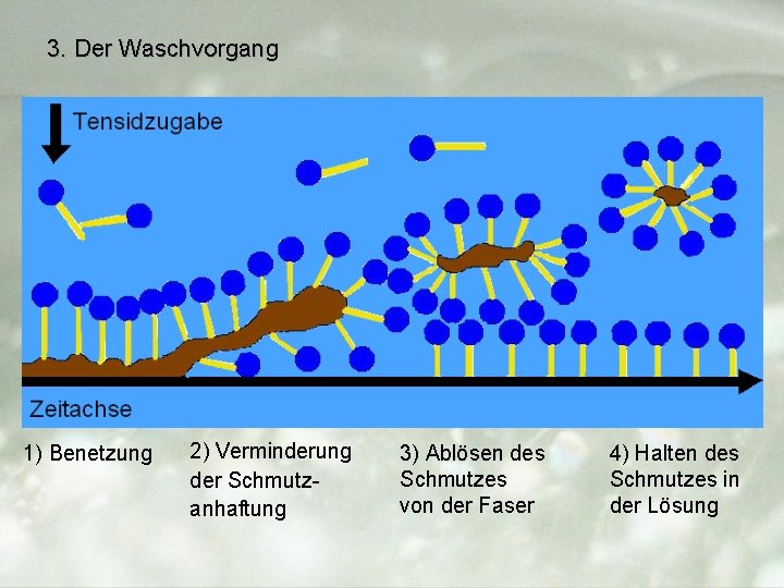 3. Der Waschvorgang 1) Benetzung 2) Verminderung der Schmutzanhaftung 3) Ablösen des Schmutzes von