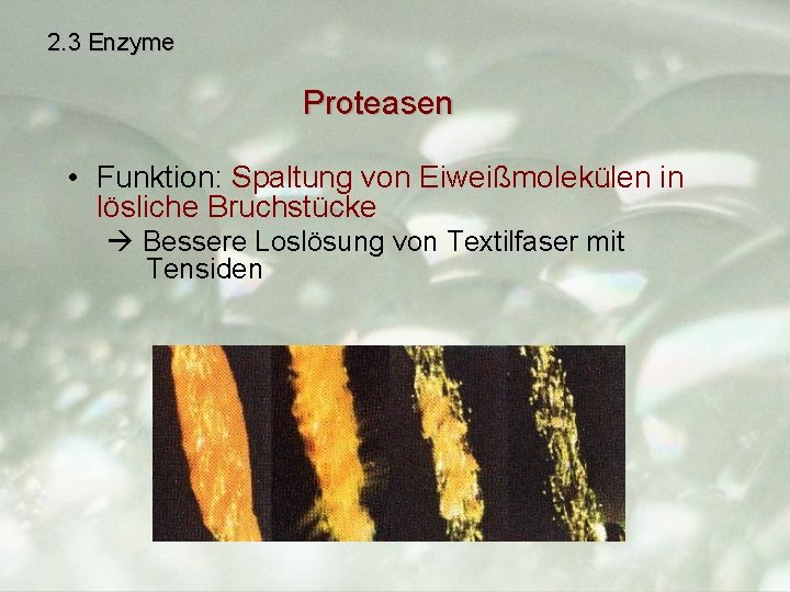 2. 3 Enzyme Proteasen • Funktion: Spaltung von Eiweißmolekülen in lösliche Bruchstücke Bessere Loslösung