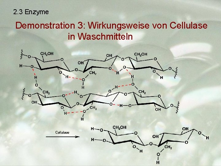 2. 3 Enzyme Demonstration 3: Wirkungsweise von Cellulase in Waschmitteln 