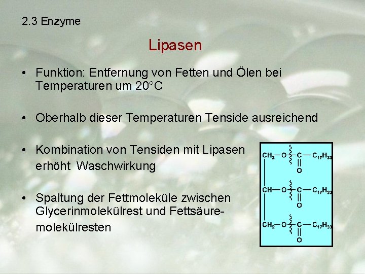 2. 3 Enzyme Lipasen • Funktion: Entfernung von Fetten und Ölen bei Temperaturen um