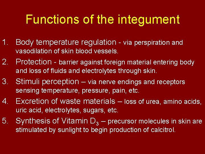 Functions of the integument 1. Body temperature regulation - via perspiration and vasodilation of