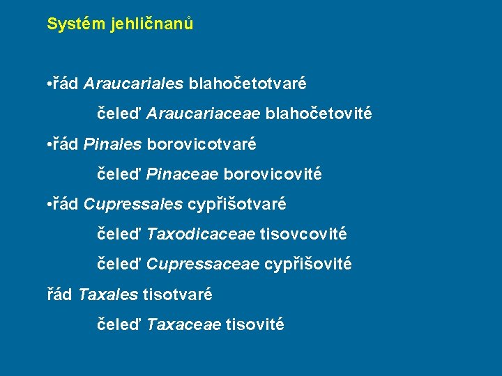 Systém jehličnanů • řád Araucariales blahočetotvaré čeleď Araucariaceae blahočetovité • řád Pinales borovicotvaré čeleď