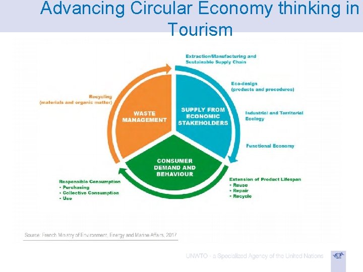 Advancing Circular Economy thinking in Tourism 