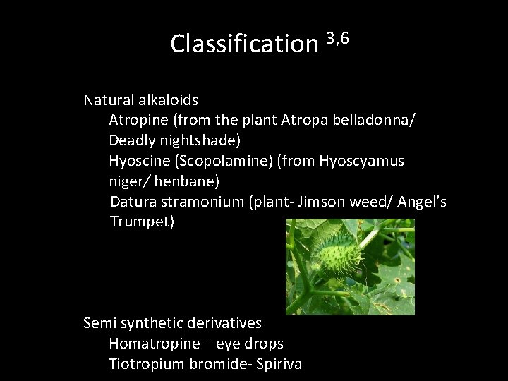 Classification 3, 6 Natural alkaloids Atropine (from the plant Atropa belladonna/ Deadly nightshade) Hyoscine