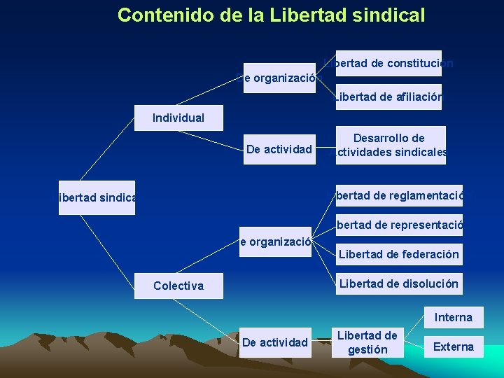 Contenido de la Libertad sindical Libertad de constitución De organización Libertad de afiliación Individual