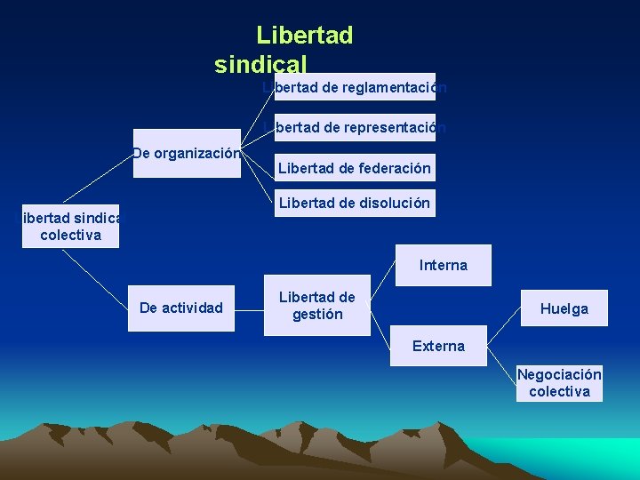 Libertad sindical Libertad de reglamentación Libertad de representación De organización Libertad de federación Libertad