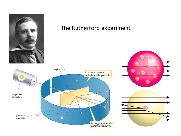 The Rutherford experiment 