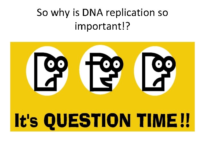 So why is DNA replication so important!? 