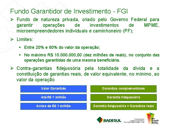 Fundo Garantidor de Investimento - FGI Ø Fundo de natureza privada, criado pelo Governo