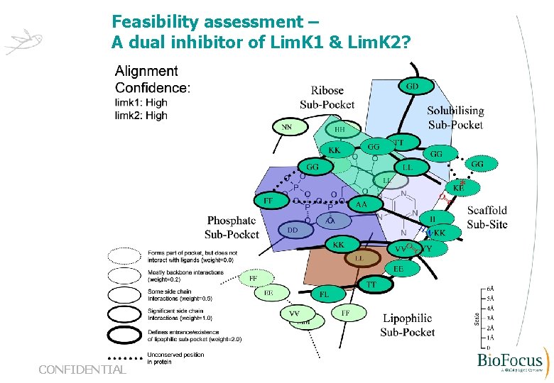 Feasibility assessment – A dual inhibitor of Lim. K 1 & Lim. K 2?