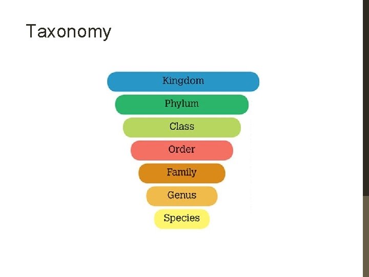Taxonomy 