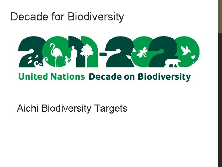 Decade for Biodiversity Aichi Biodiversity Targets 