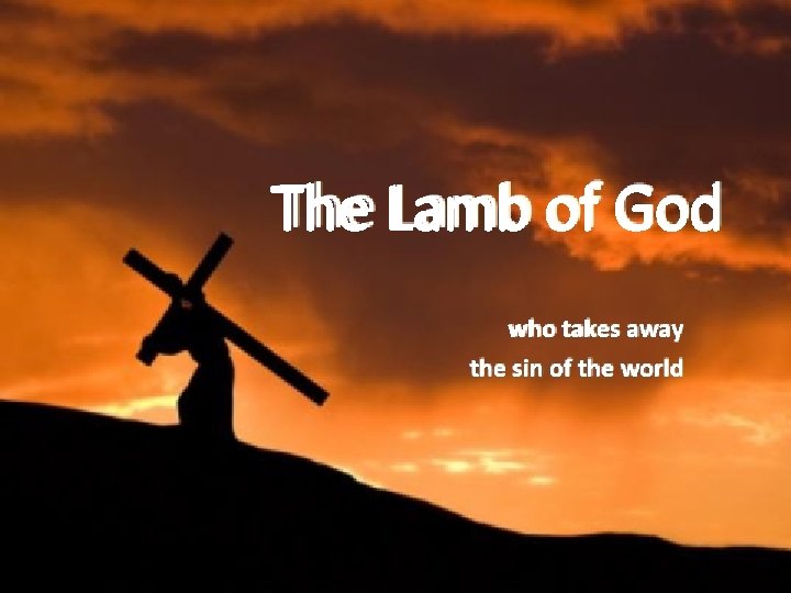 The Lamb of God who takes away the sin of the world 