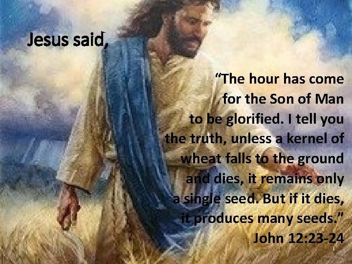 Jesus said, “The hour has come for the Son of Man to be glorified.