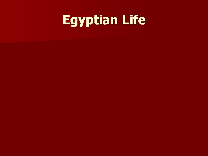 Egyptian Life 