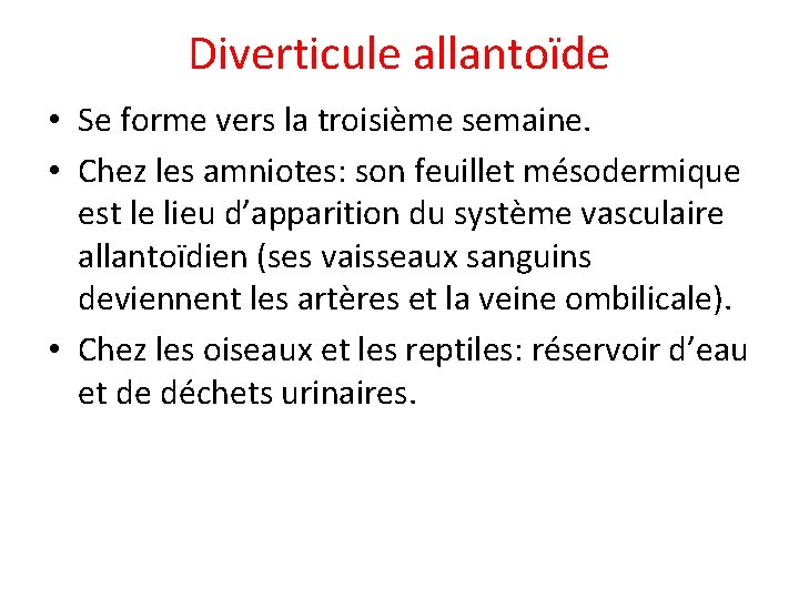 Diverticule allantoïde • Se forme vers la troisième semaine. • Chez les amniotes: son