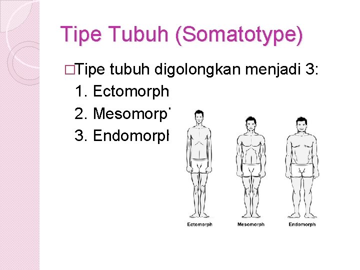 Tipe Tubuh (Somatotype) �Tipe tubuh digolongkan menjadi 3: 1. Ectomorph 2. Mesomorph 3. Endomorph