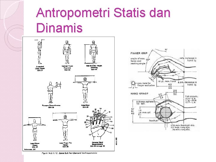 Antropometri Statis dan Dinamis 