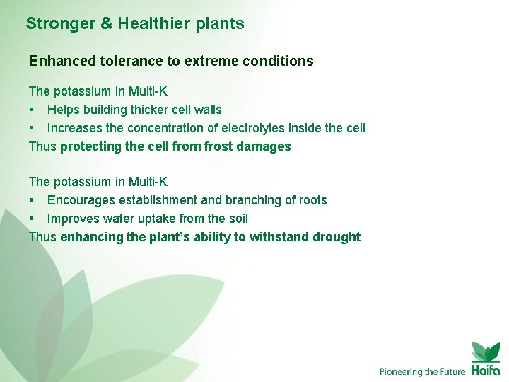 Stronger & Healthier plants Enhanced tolerance to extreme conditions The potassium in Multi-K §