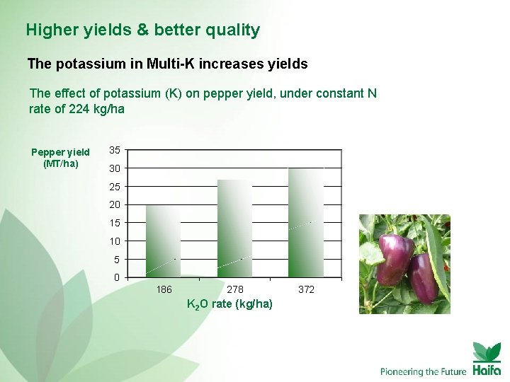 Higher yields & better quality The potassium in Multi-K increases yields The effect of