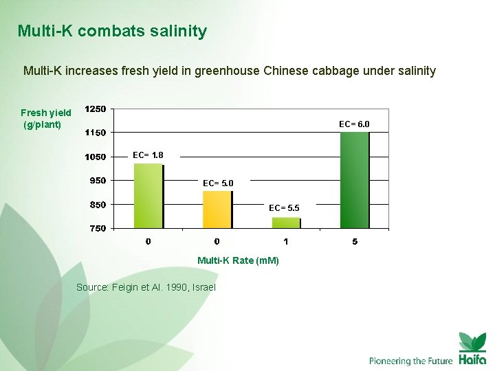 Multi-K combats salinity Multi-K increases fresh yield in greenhouse Chinese cabbage under salinity Fresh