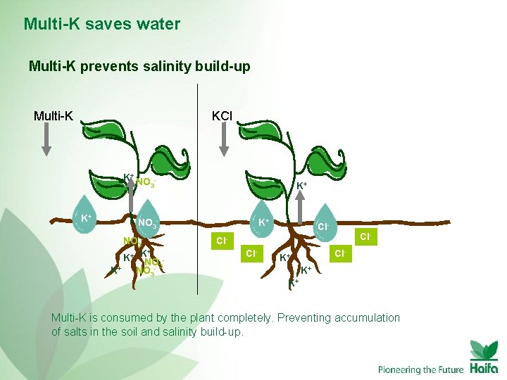 Multi-K saves water Multi-K prevents salinity build-up Multi-K KCl K+ NO K+ 3 K+