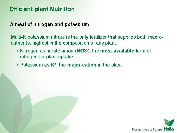 Efficient plant Nutrition A meal of nitrogen and potassium Multi-K potassium nitrate is the