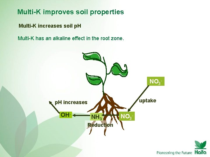 Multi-K improves soil properties Multi-K increases soil p. H Multi-K has an alkaline effect