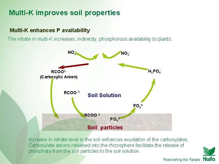 Multi-K improves soil properties Multi-K enhances P availability The nitrate in multi-K increases, indirectly,