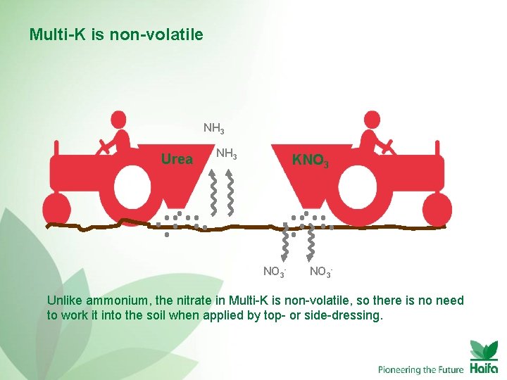 Multi-K is non-volatile NH 3 Urea NH 3 KNO 3 - Unlike ammonium, the