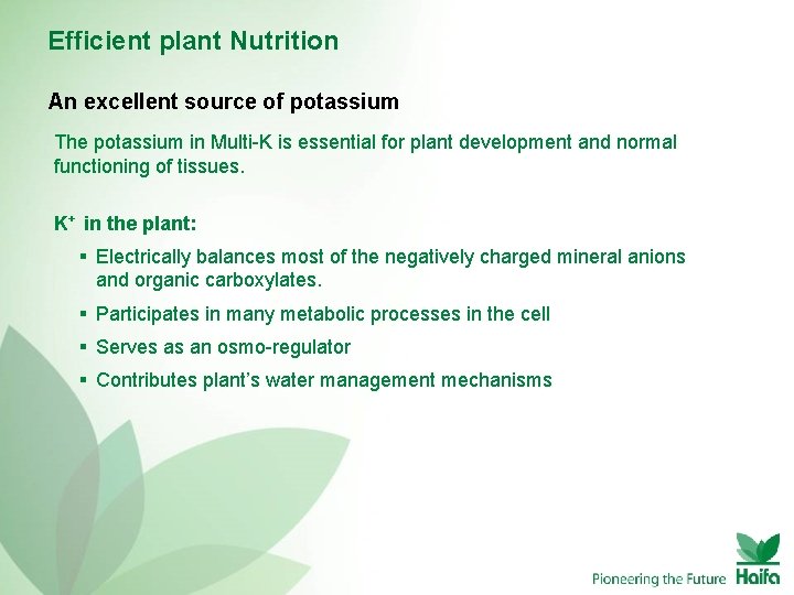 Efficient plant Nutrition An excellent source of potassium The potassium in Multi-K is essential