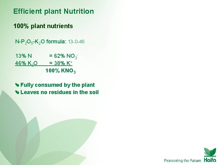 Efficient plant Nutrition 100% plant nutrients N-P 2 O 5 -K 2 O formula: